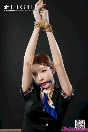 变形金刚2 字幕